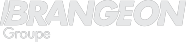 Logo brangeon grey